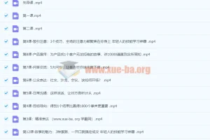 LadyBoss柳婉琴：12堂口才表达课