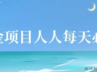 掘金项目：单号日收益20 – 50元的暴力掘金项目
