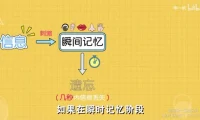 超强记忆力训练：全学科高效提分精品课程