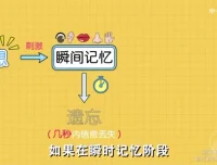 超强记忆力训练：全学科高效提分精品课程