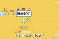 超强记忆力训练：全学科高效提分精品课程