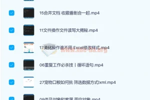 Python实战精讲：萌新系统入门课程