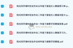 2024年阳光同学课时优化作业：小学全年级多科目同步练习资料