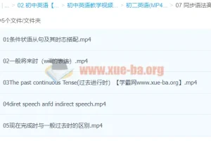 初中英语同步语法课程：高洁精讲