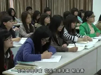 6节花艺课程：从入门到精通，开启诗意生活