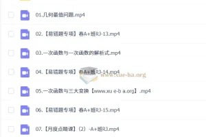 2024-2025徐丝雨初二数学A+暑秋寒春班课程