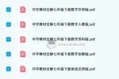 薛金星《中学教材全解》及初中教材同步作文全解资料