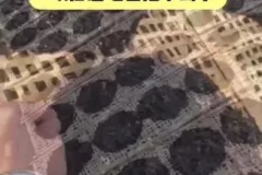 李鲆短视频带货实战指南：电商新手与内容创作者的带货秘籍