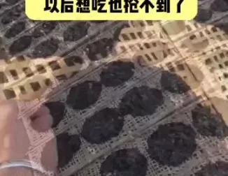 李鲆短视频带货实战指南：电商新手与内容创作者的带货秘籍