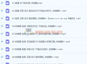 2024高一林婉晴物理寒假班（A+）