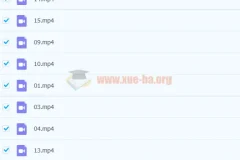 培优素养共读：经典名著《爱丽丝梦游仙境》