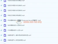 大学英语四级语法基础巩固14课时课程