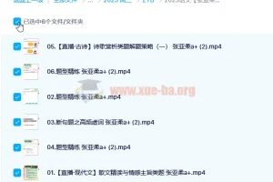 2023高考语文张亚柔a+一轮复习暑假班与秋季班（更新6讲）