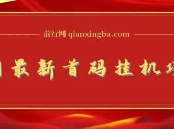 全网最新首码挂机项目：带有管道收益，轻松日入1000+无上限