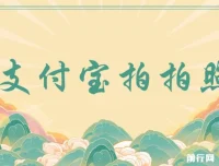 支付宝拍拍照项目：无门槛多劳多得，一小时轻松赚100+