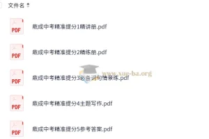 鼎成中考《2025中考精准提分（语数英）》资料