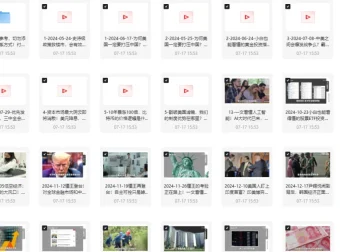 《柏林说：世界形势大观 2025 视频合集》