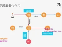 Pai爷20讲：从0到1掌握爆款内容运营技巧