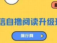 微信自撸阅读升级玩法：轻松赚取收益项目介绍