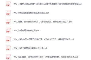 生财有术付费资源 [PDF]