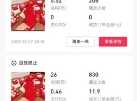 文俊18节抖店随心推实战课：从入门到爆单