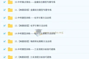 2025陈潭飞初三化学中考化学培训班（春下·全国版·A+）