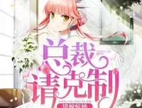 《错嫁惊婚：总裁请克制》有声小说 双播：沈念如、云天河 全871集完结