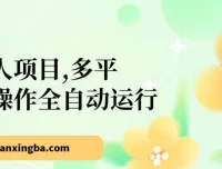 多平台全自动网创懒人项目：头条、公众号实操指南
