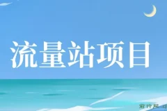 张子豪流量站项目：网站运营与优化教程