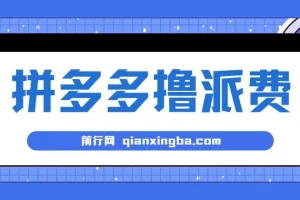 拼多多撸派费软件：全自动运行项目工具