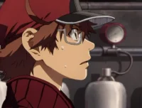 《工作细胞全集：三季35集含中配版与BLACK版》