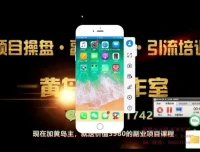 黄岛主《小红书无货源电商项目》第8期实战教程