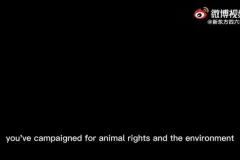 2015 – 2023年英语四六级真题解析全集：高效备考宝典