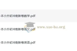 《一本小升初冲刺新卷》：助力小升初备考