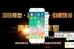 黄岛主《小红书无货源电商项目》第8期实战教程