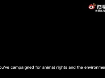 2015 – 2023年英语四六级真题解析全集：高效备考宝典