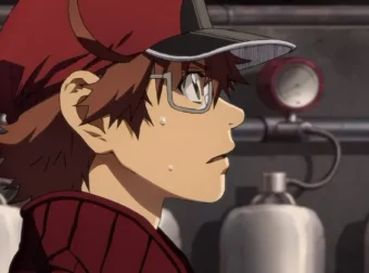 《工作细胞全集：三季35集含中配版与BLACK版》