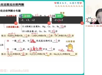 2024裴一诺高三化学冲刺班：高效提分课程