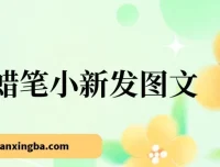 靠蜡笔小新发图文涨粉项目：小白也能轻松上手