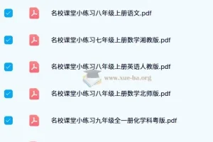 名校课堂小练习：初中多学科同步练习资料
