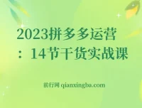 拼多多运营干货实战14节课程