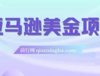 亚马逊美金项目：电商盈利相关资源