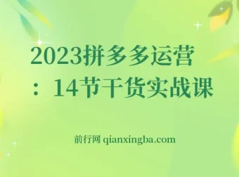 拼多多运营干货实战14节课程