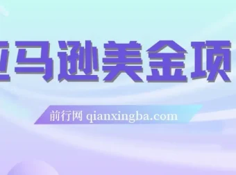 亚马逊美金项目：电商盈利相关资源