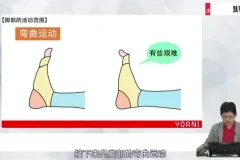 代代木动画学院零基础角色绘画课程：初学者速成指南