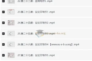 2025王鹍申论方法技巧大全课程