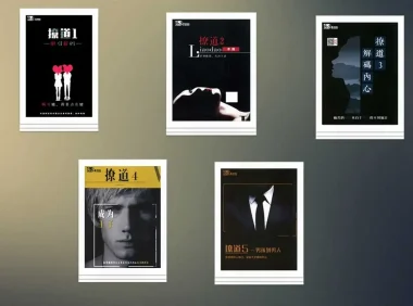 绝版男生恋爱书籍：《撩道》1 – 5系列