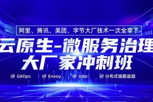 云原生微服务治理大厂冲刺班56期 – 杰哥、马哥主讲，带源码课件