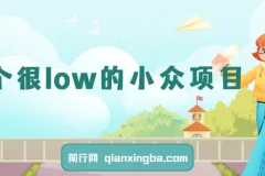 小众暴利副业项目：简单易做，月入过万