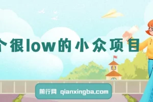 小众暴利副业项目：简单易做，月入过万